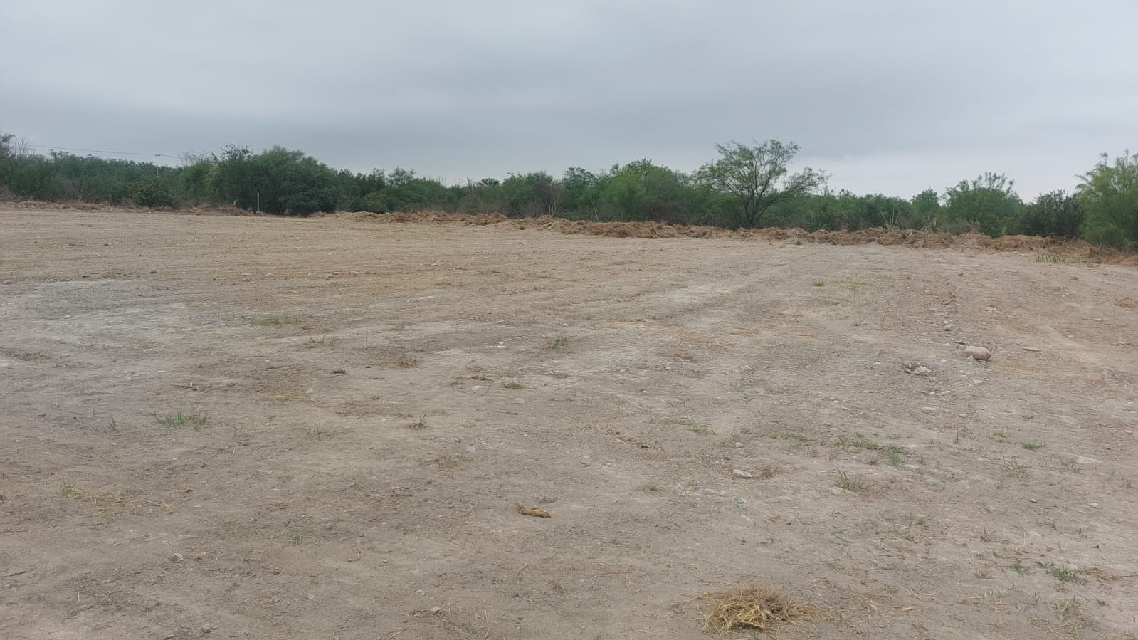 Terreno en Renta en Metroplex