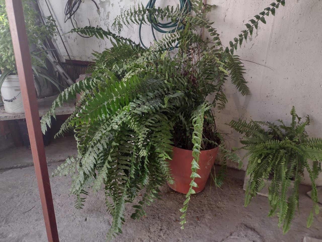 Casa en Venta en Ex Hacienda el Rosario