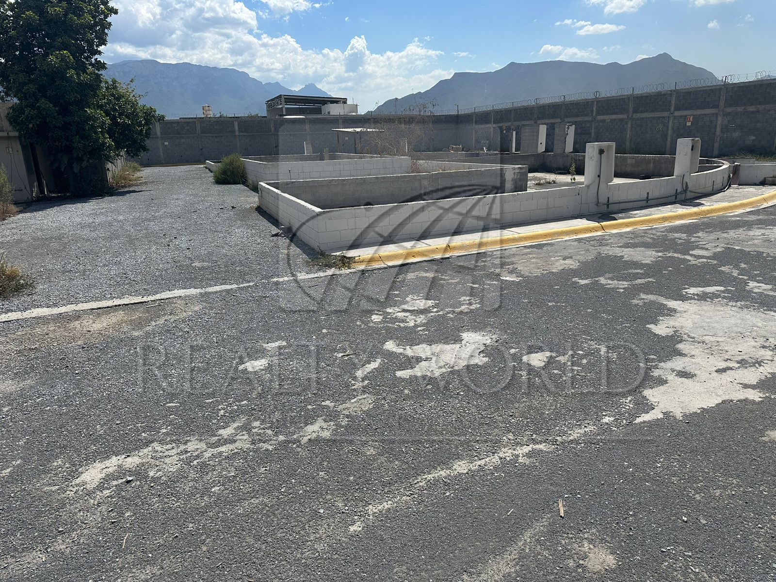 Terreno en Renta en Av Luis Donaldo Colosio