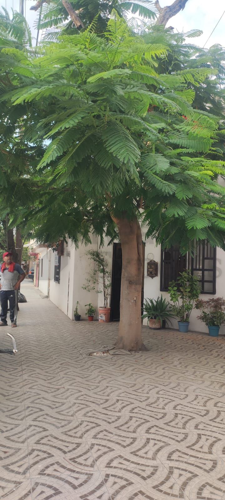 Casa en Venta en Fresnos III
