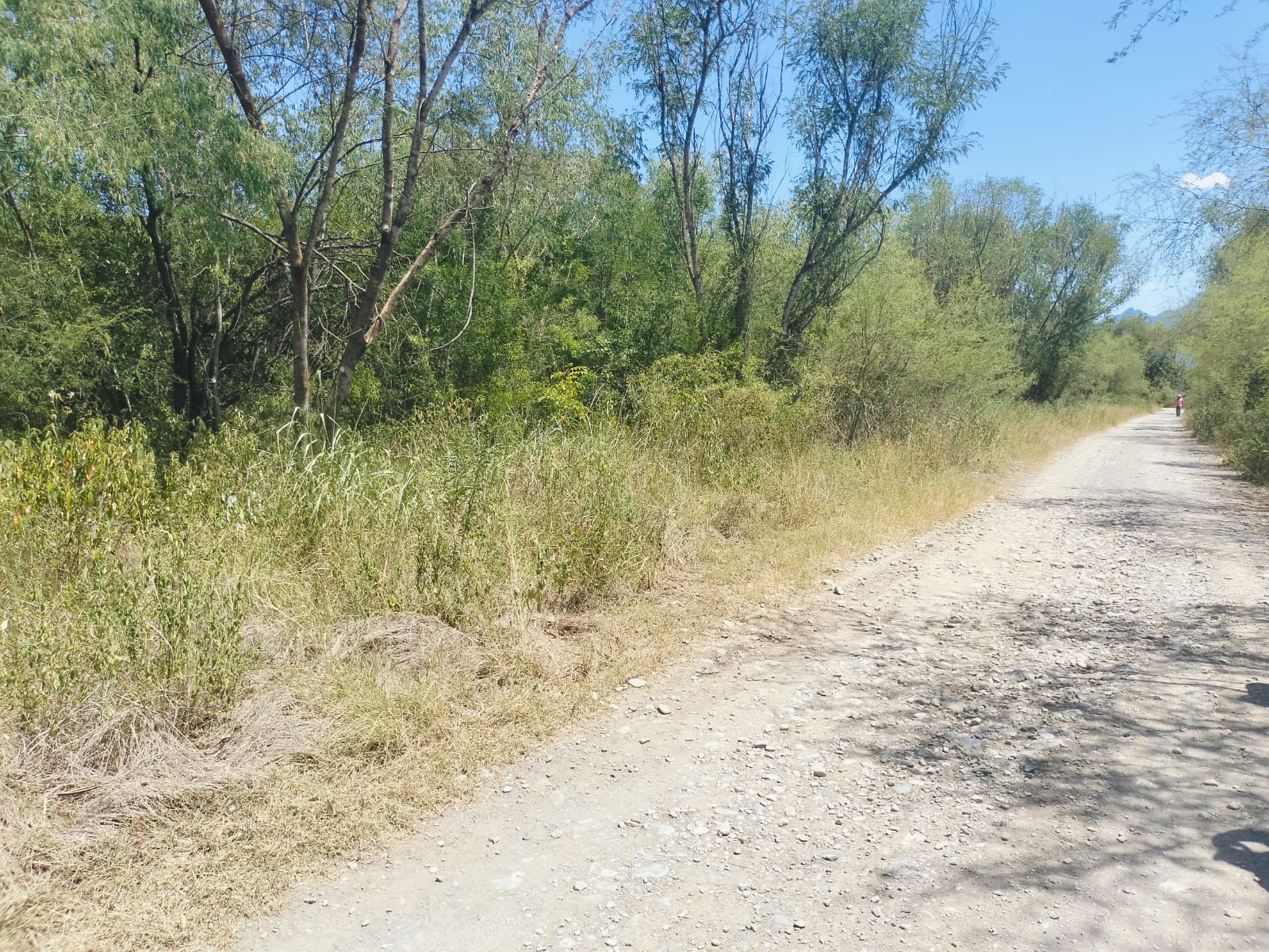 Terreno en Venta en LA TINAJA 