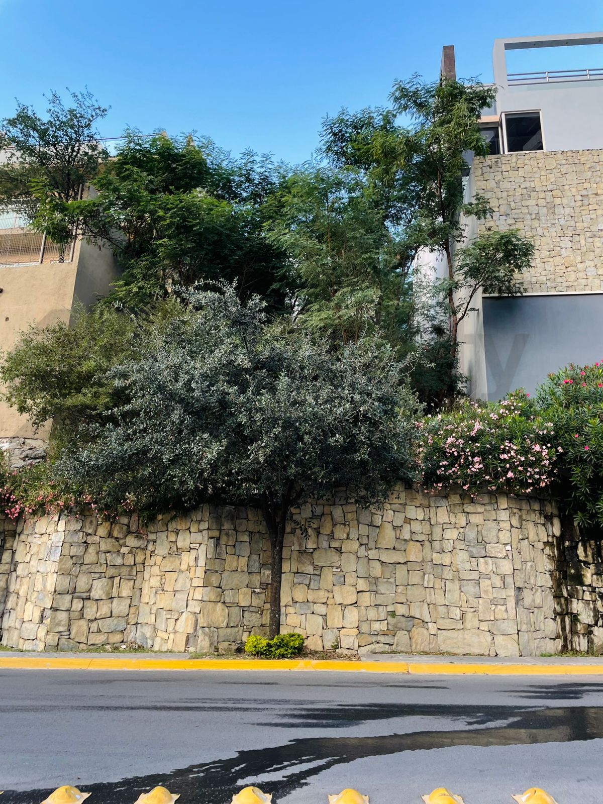Terreno en Venta en Vista Real