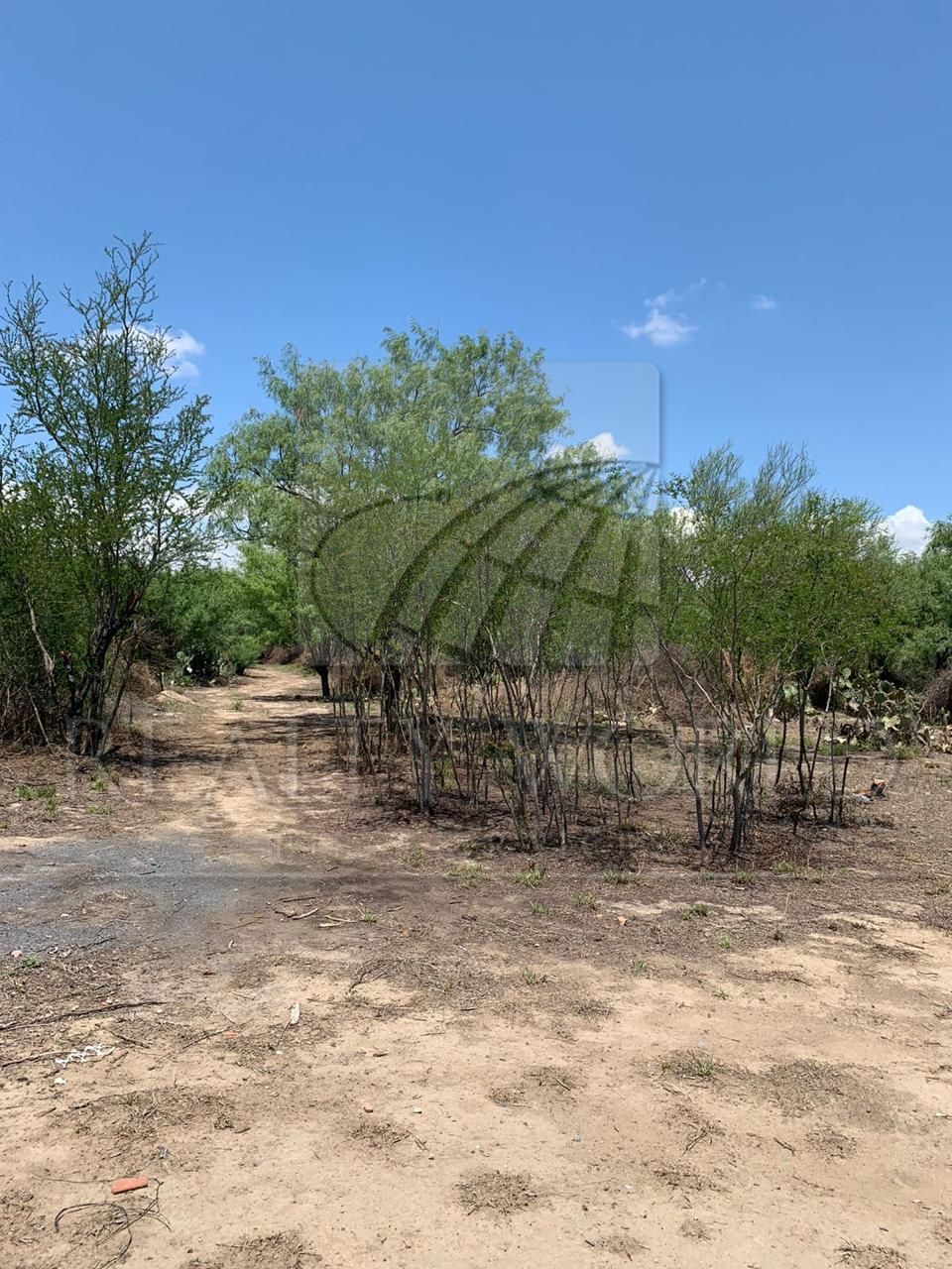 Terreno en Venta en Zacatecas