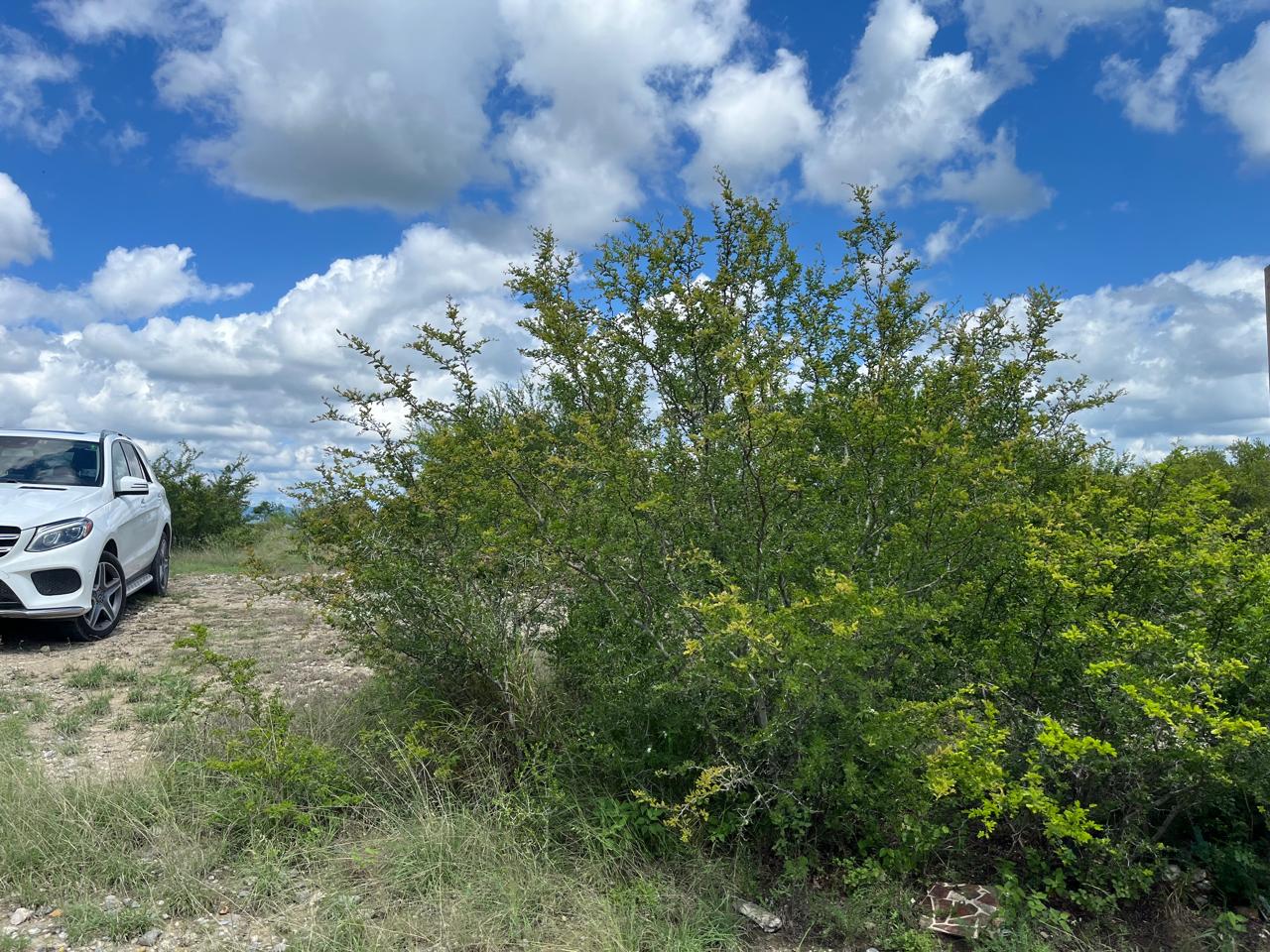 Terreno en Venta en El Calvario 