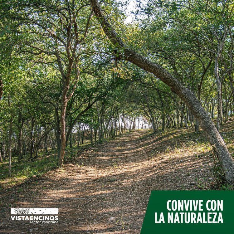 Terreno en Venta en Colonia