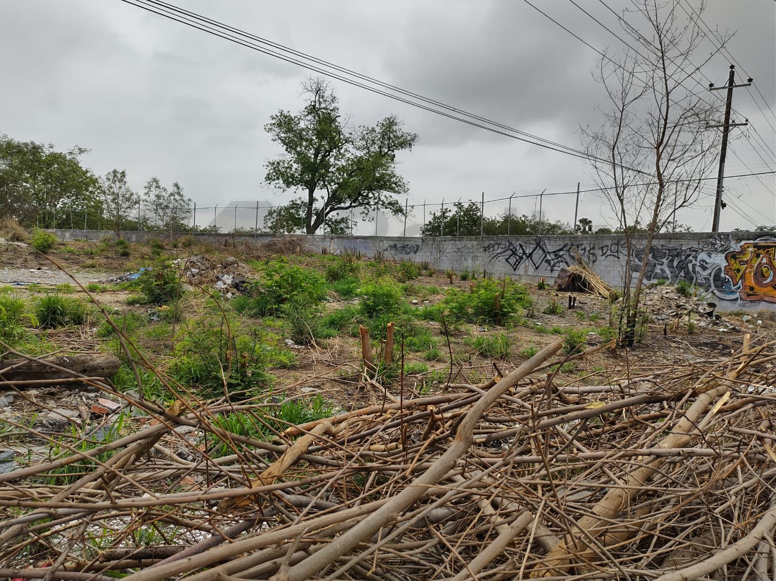 Terreno en Renta en INFONAVIT la Joya Primer Sector