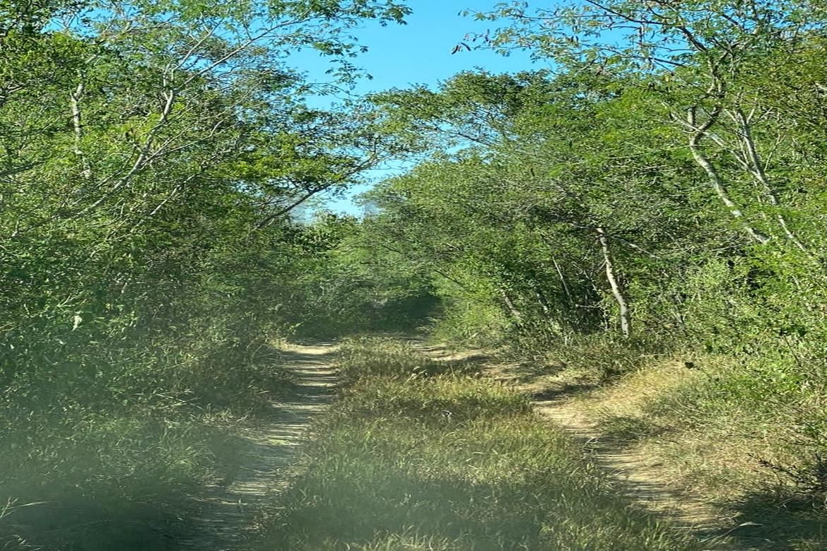 Terreno en Venta en Portal del Huajuco