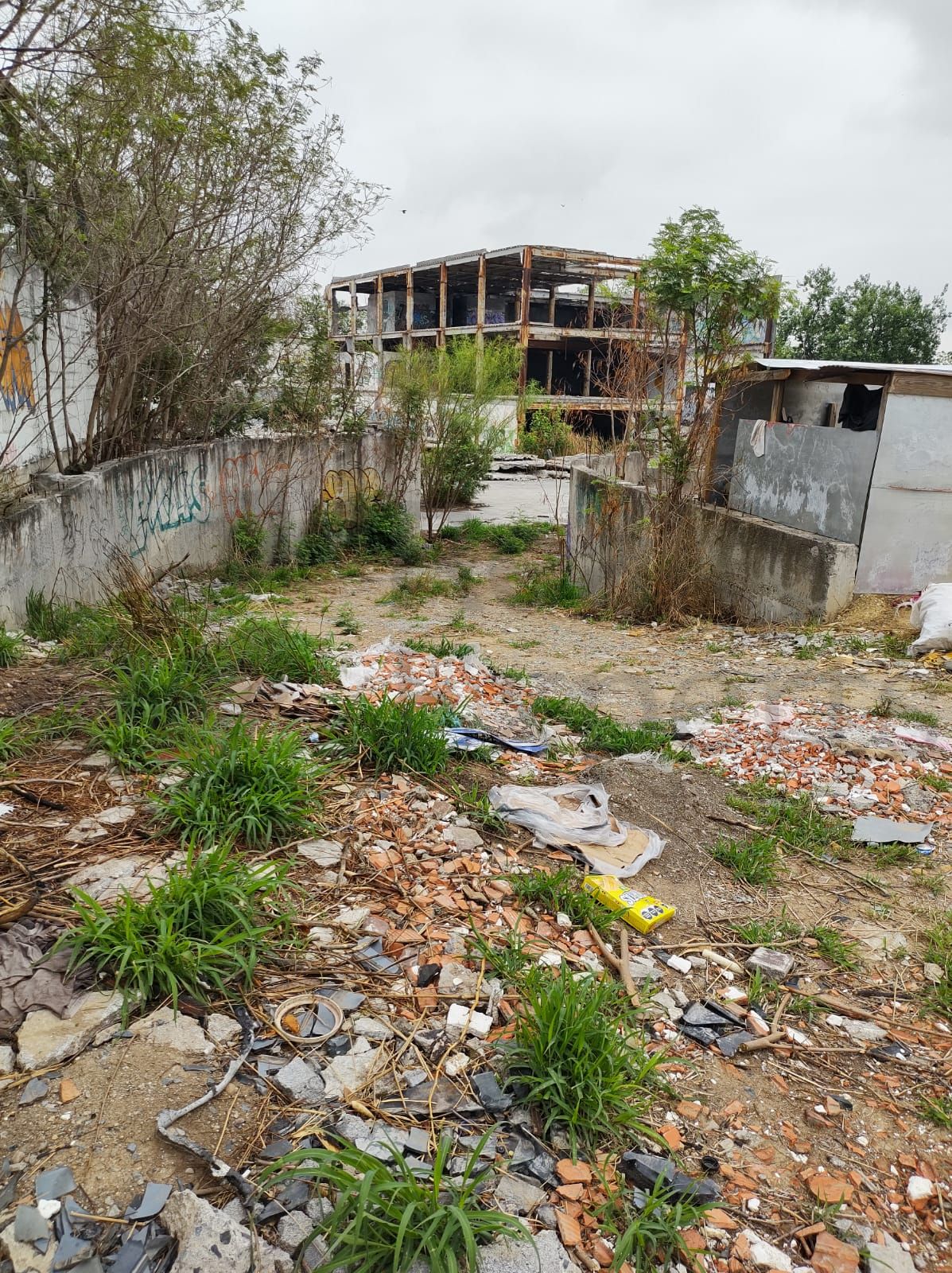 Terreno en Renta en INFONAVIT la Joya Primer Sector