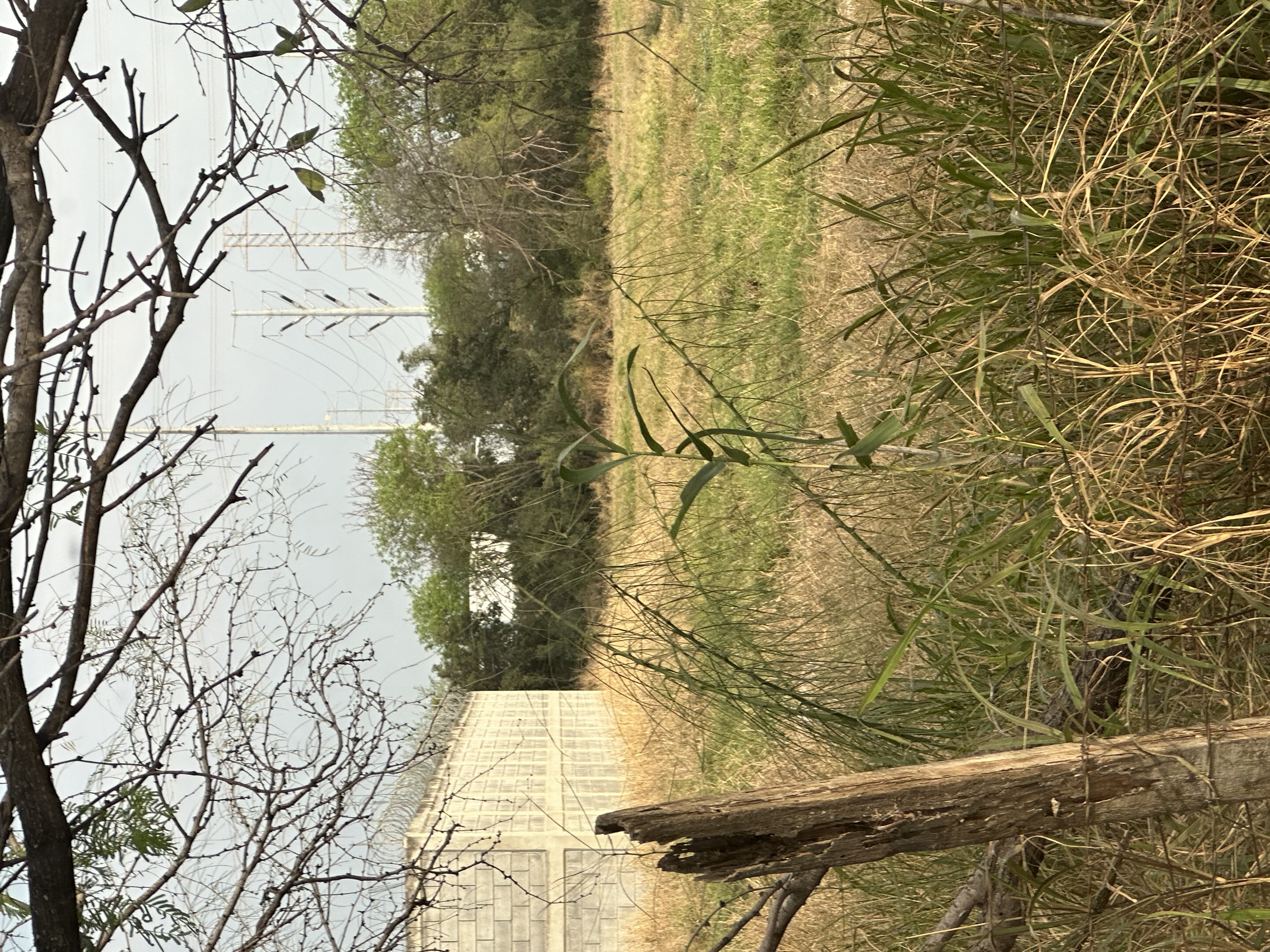 Terreno en Venta en Paseo de Santa Rosa