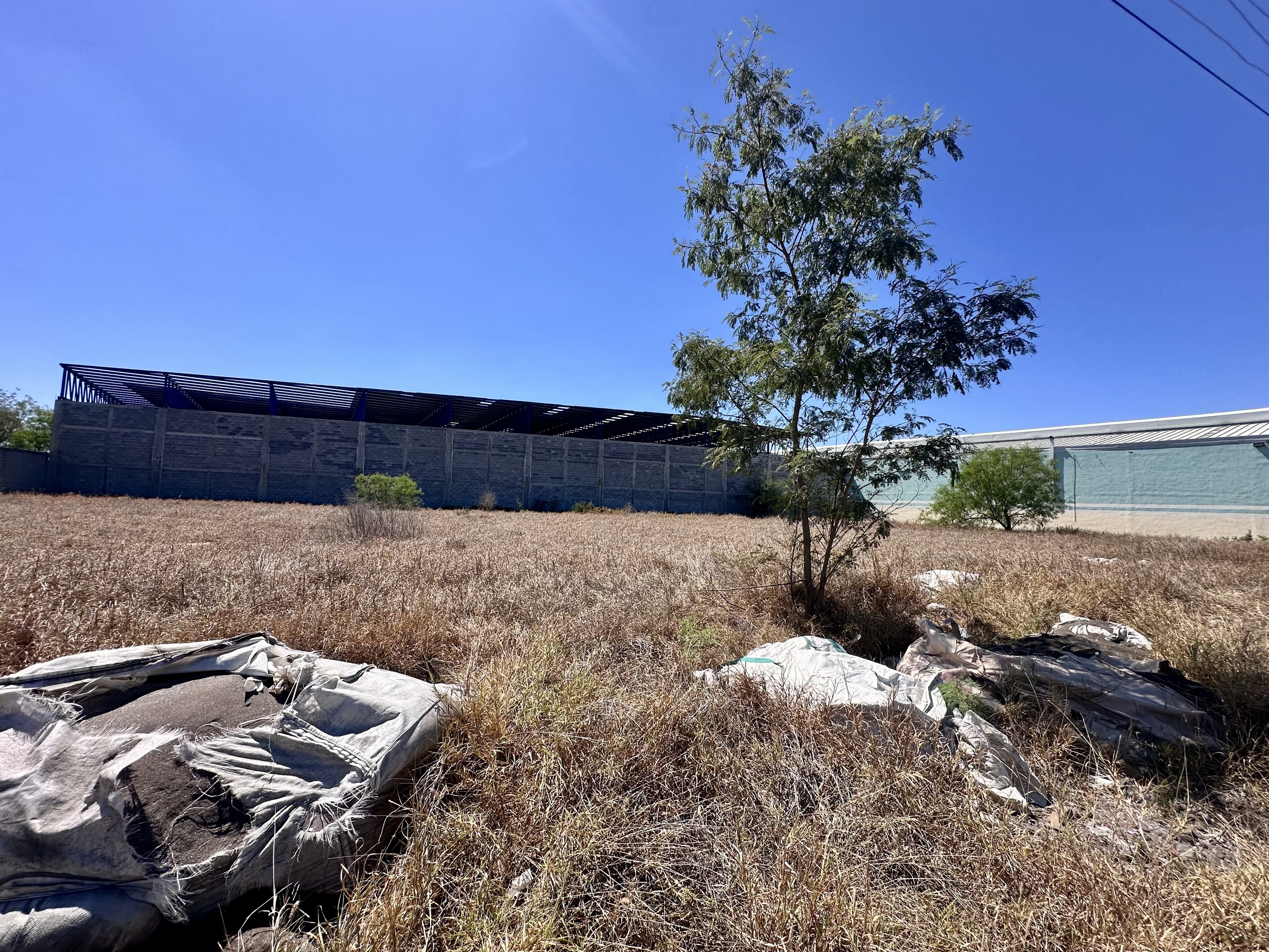 Terreno en Renta en Valle del Norte