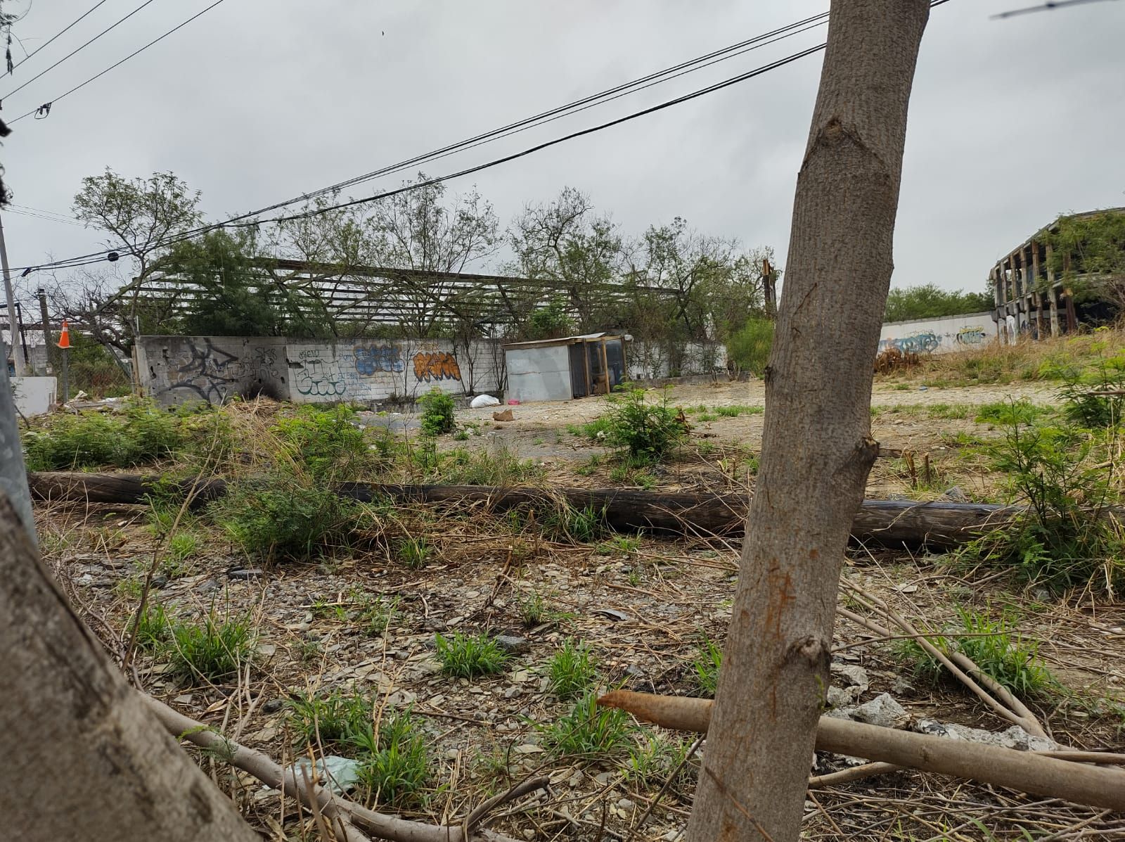 Terreno en Renta en INFONAVIT la Joya Primer Sector