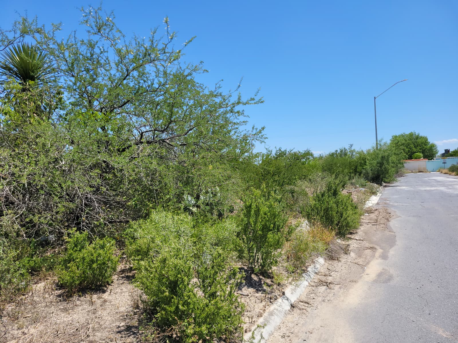 Terreno en Venta en Valle de Salinas