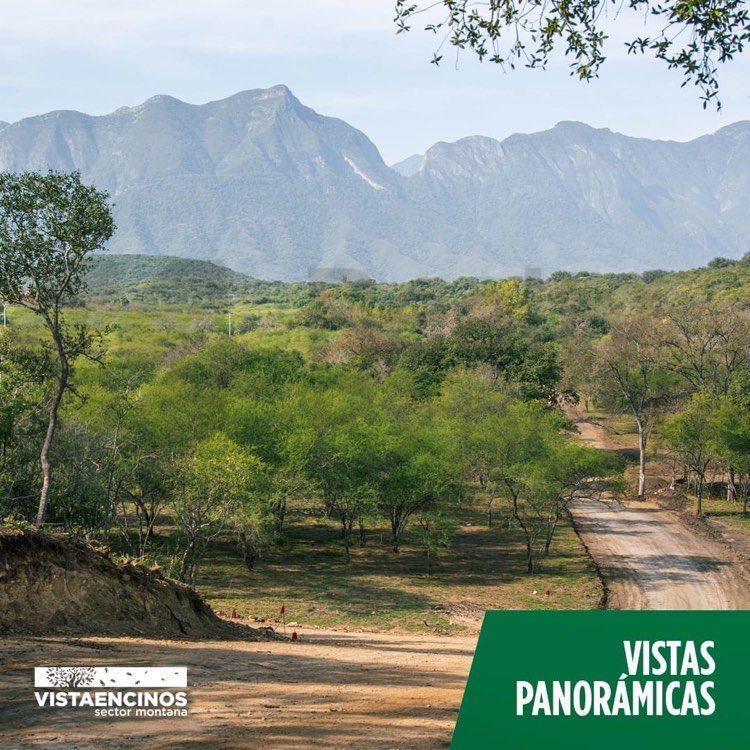 Terreno en Venta en Colonia
