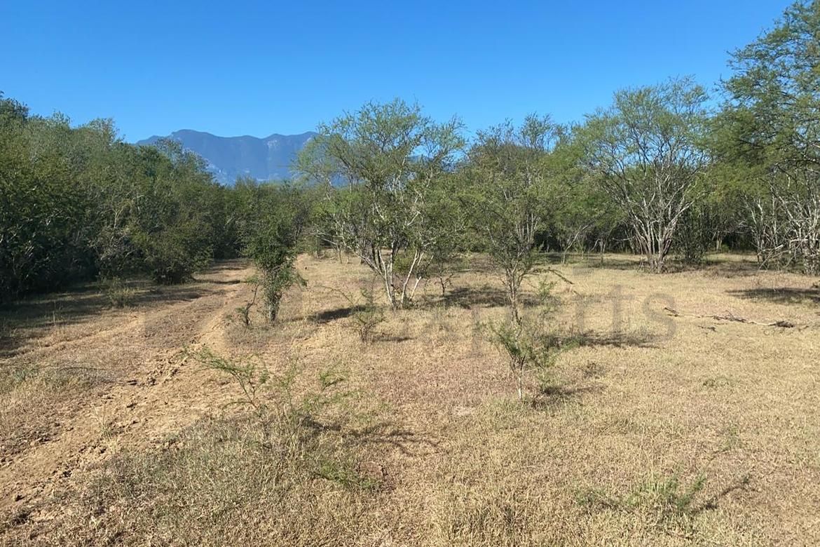 Terreno en Venta en Portal del Huajuco