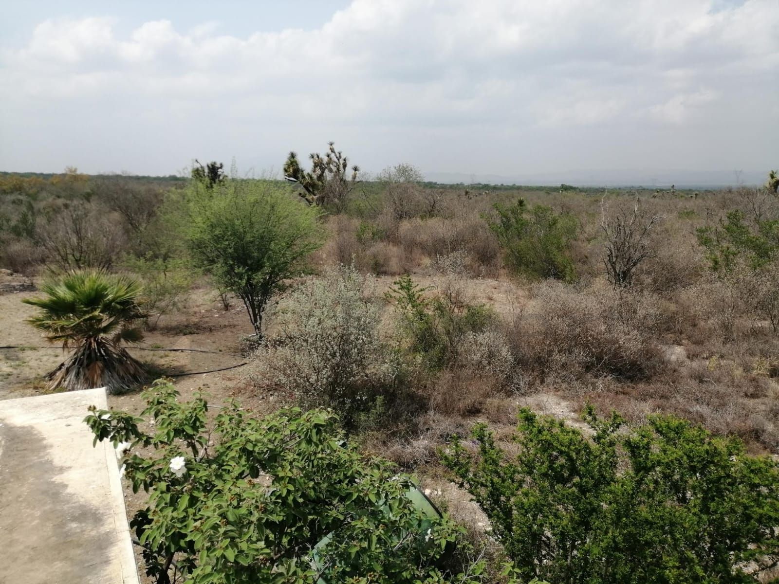 Terreno en Venta en Los Villarreales