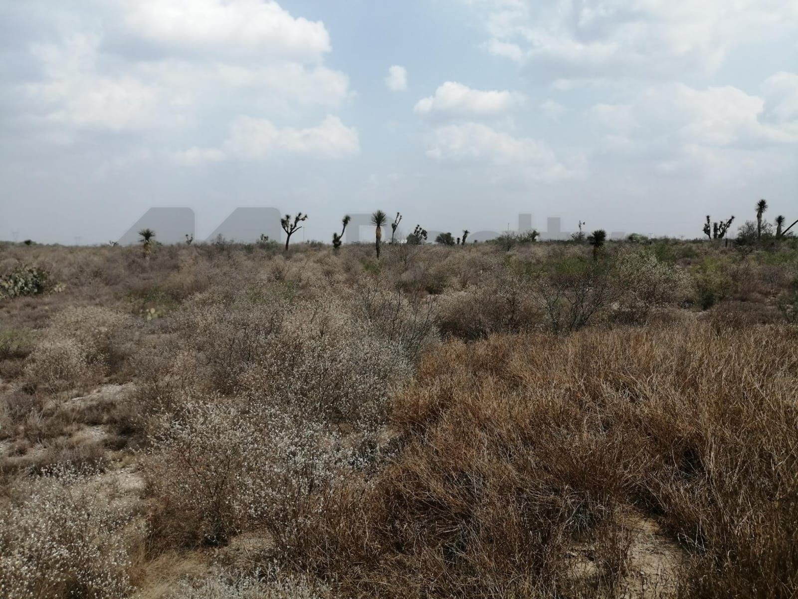 Terreno en Venta en Los Villarreales