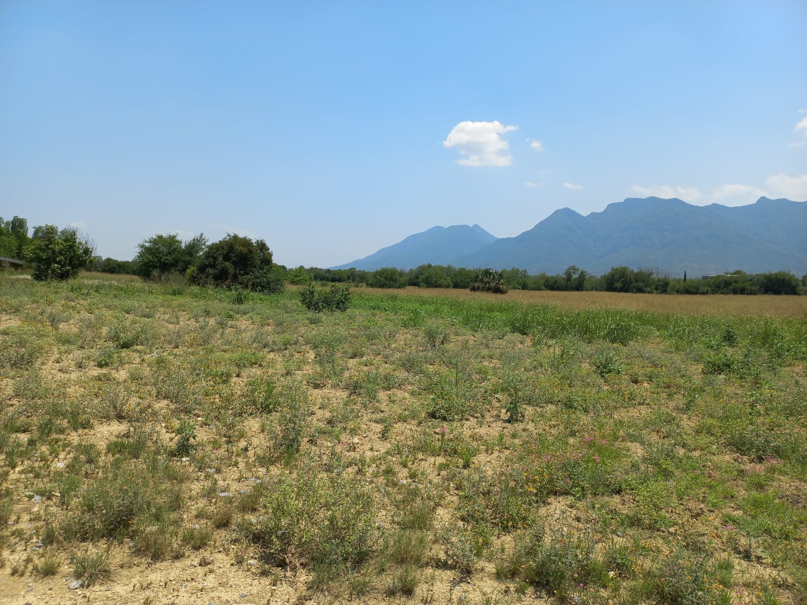 Terreno en Venta en Cumbres de Santiago