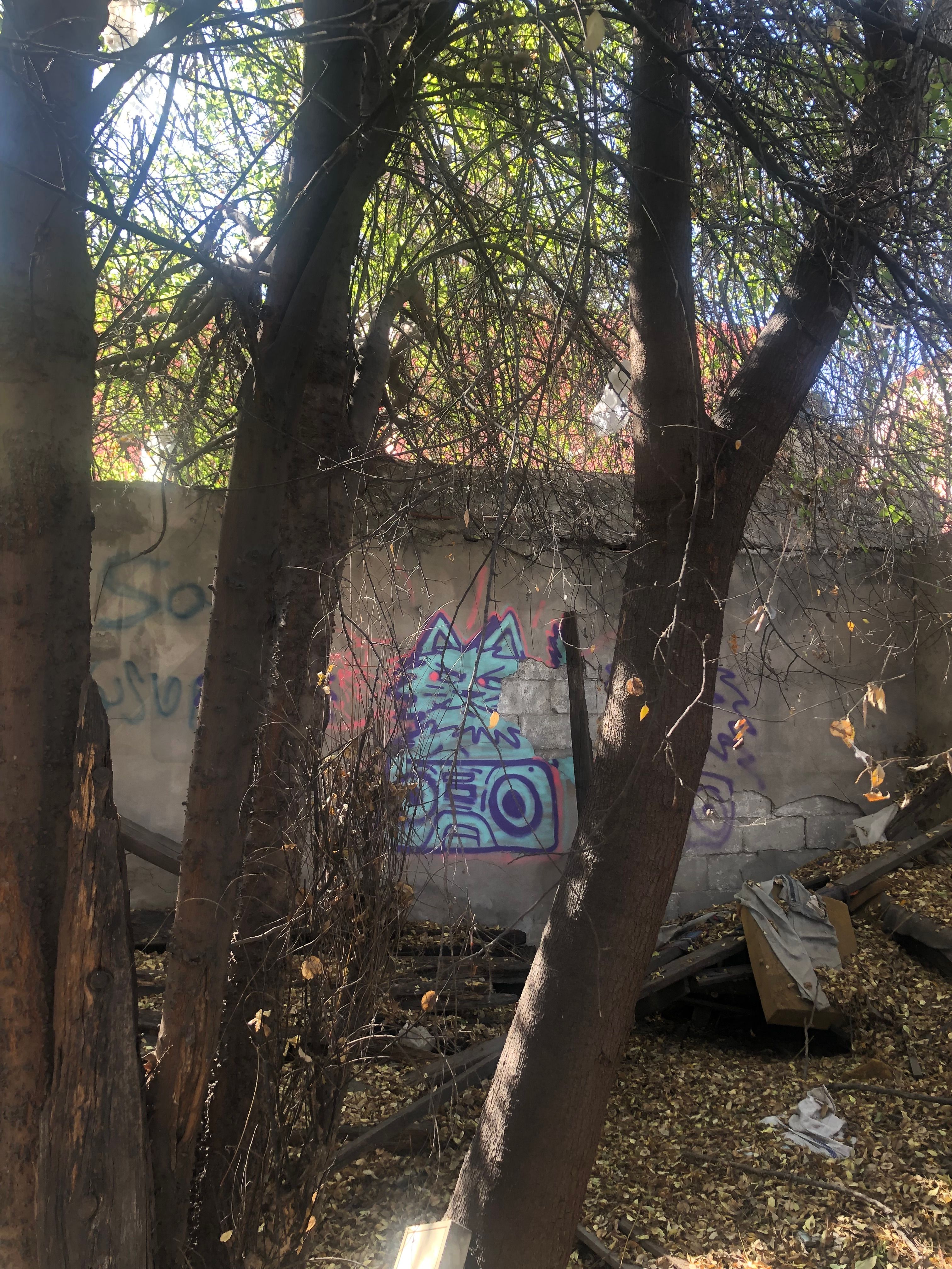 Terreno en Venta en Monterrey
