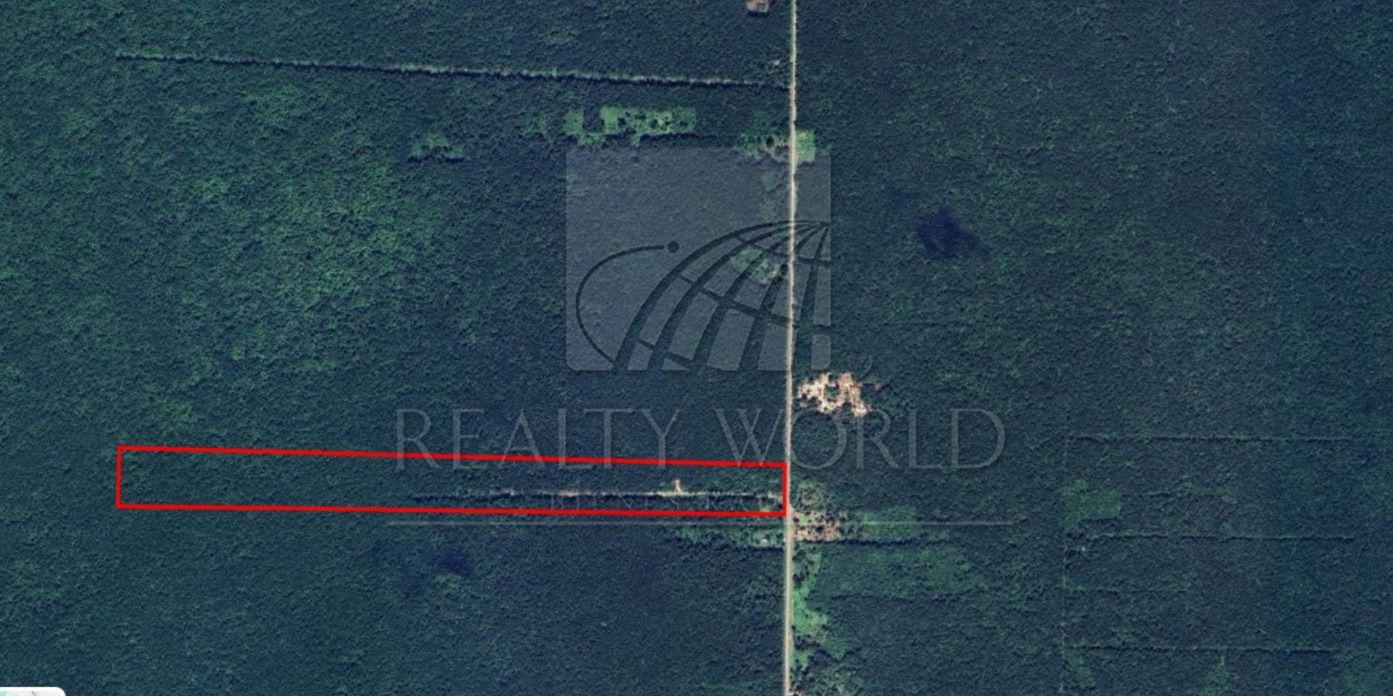 Terreno en Venta en Sin Colonia