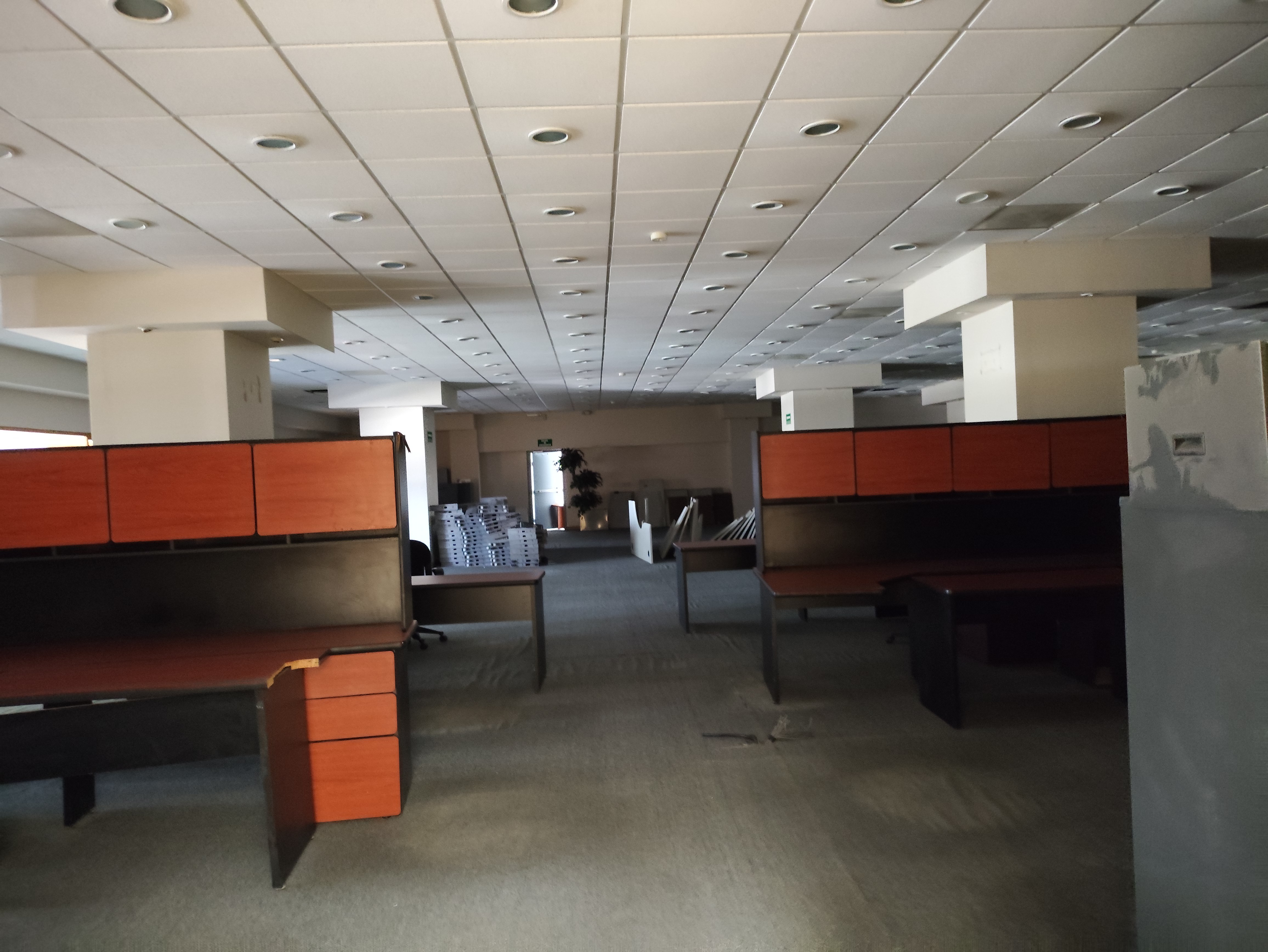 Oficina en Renta en Antiguo Nogalar