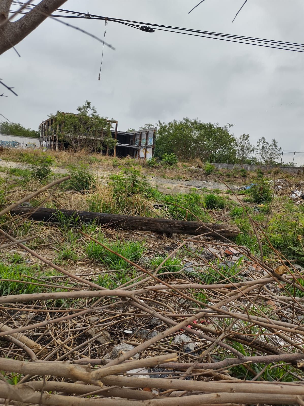 Terreno en Renta en INFONAVIT la Joya Primer Sector