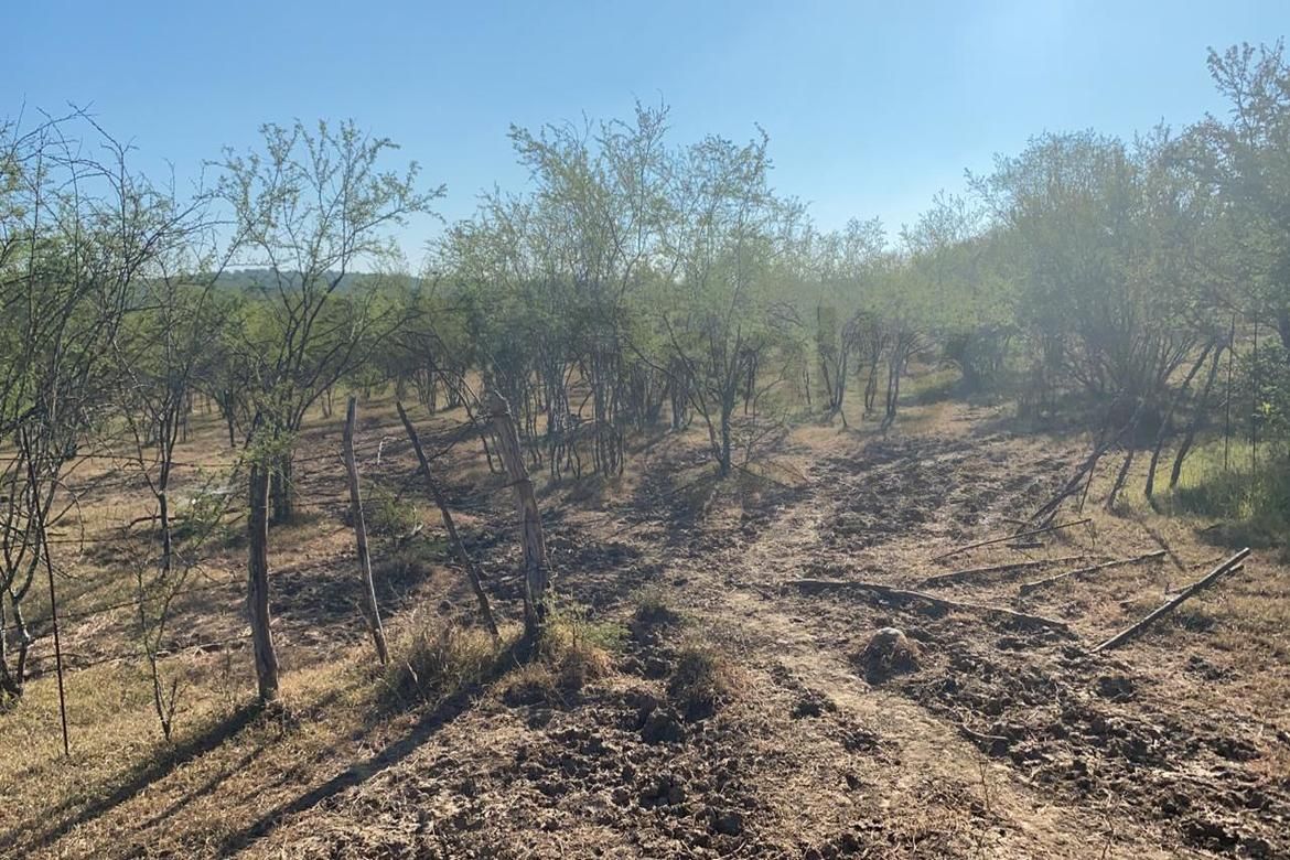 Terreno en Venta en Portal del Huajuco