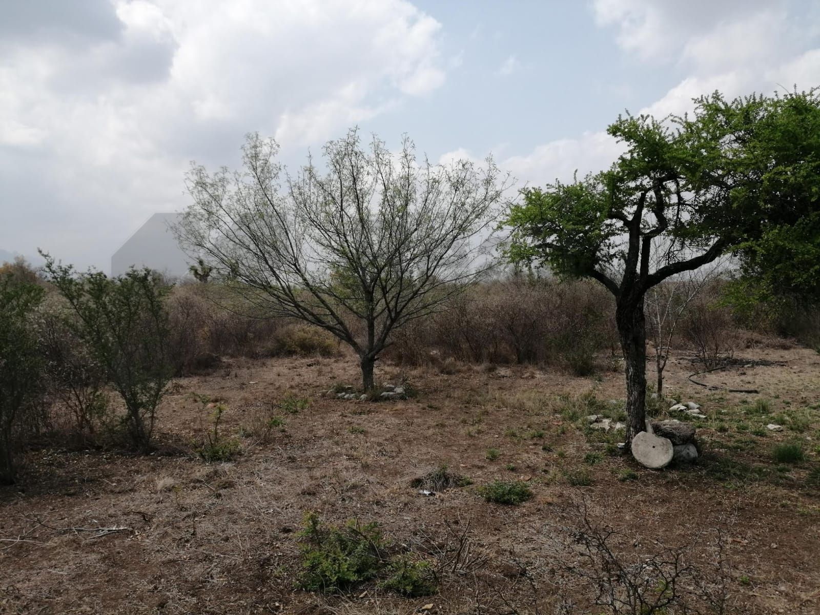 Terreno en Venta en Los Villarreales