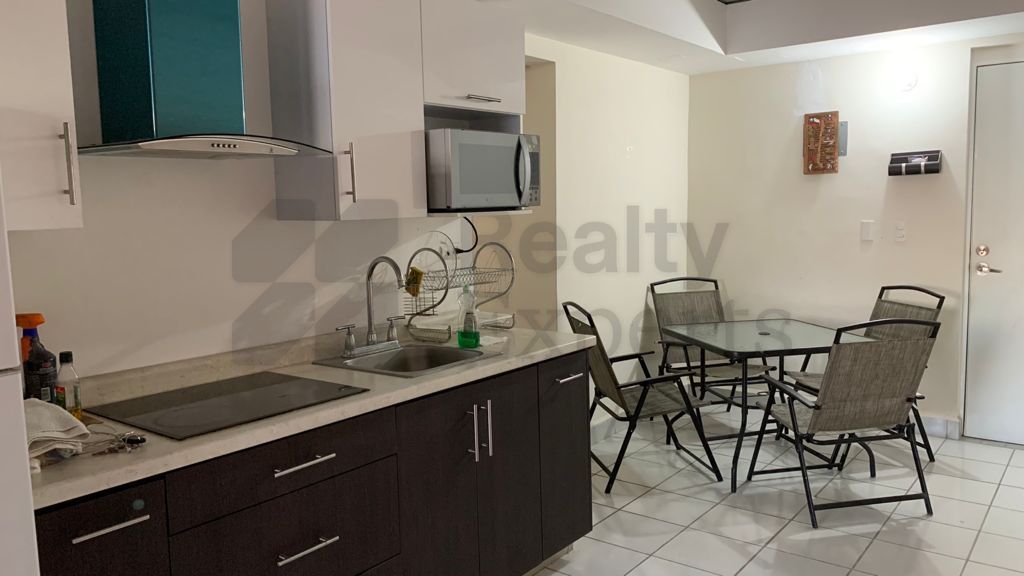 Departamento en Renta en Industrial