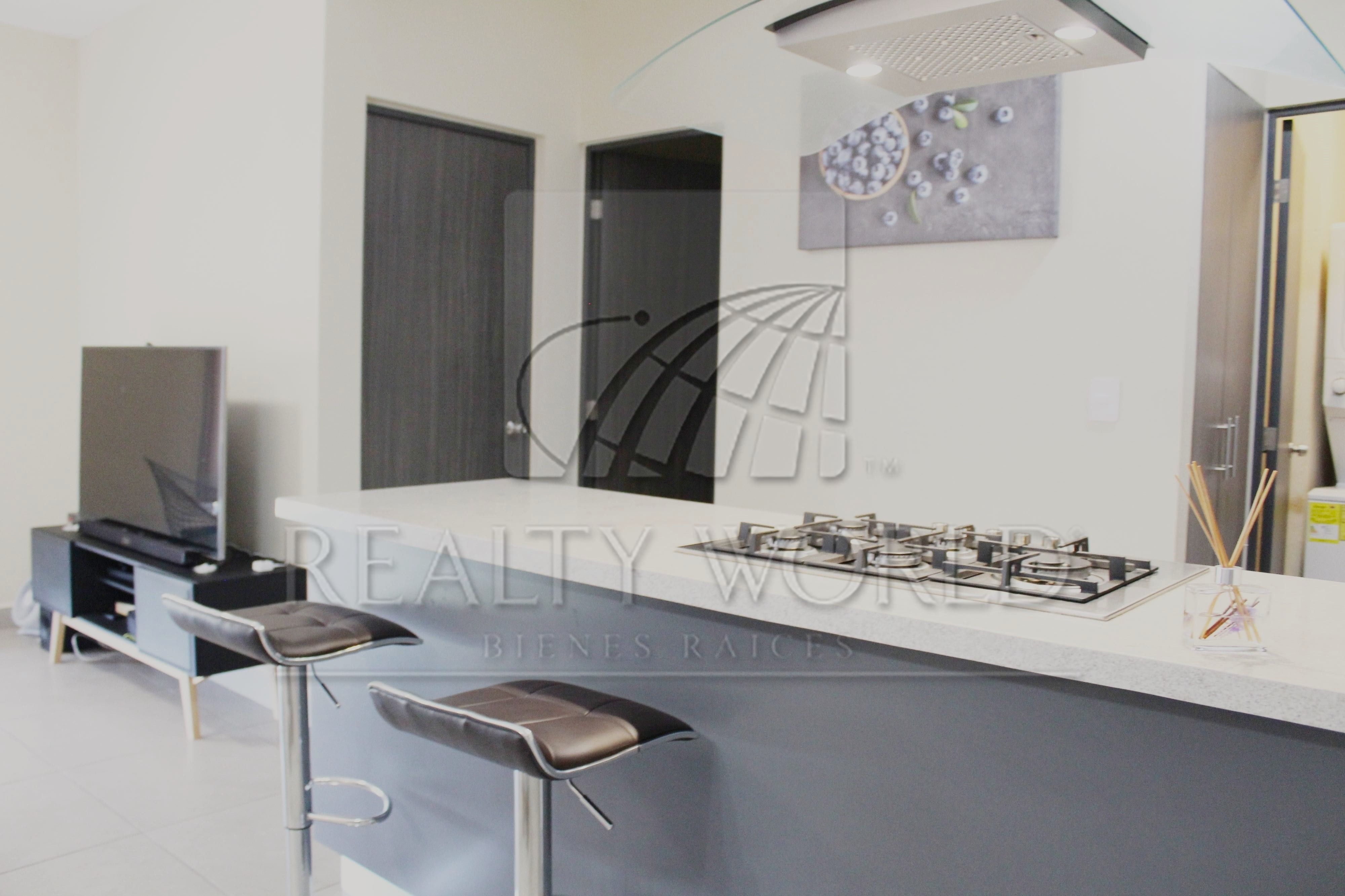 Departamento en Renta en Living San Nicolás