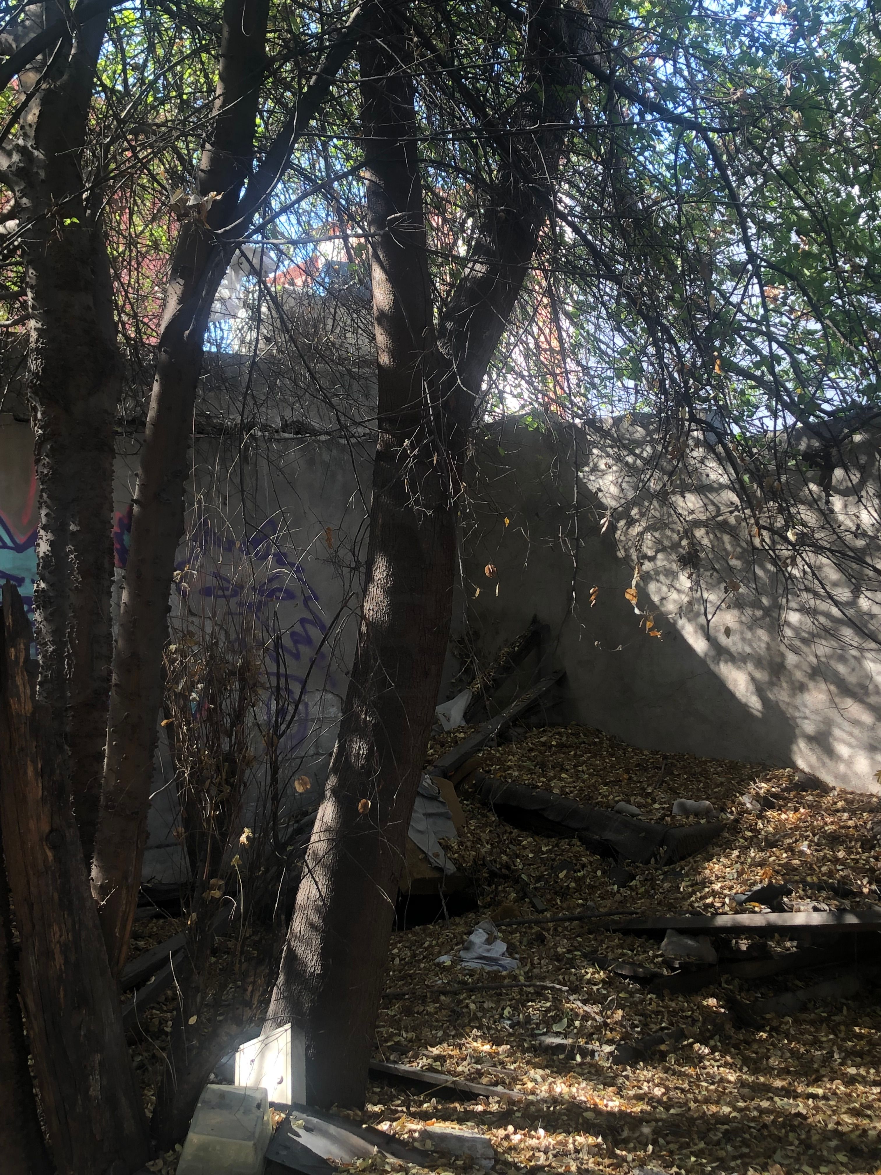Terreno en Venta en Monterrey