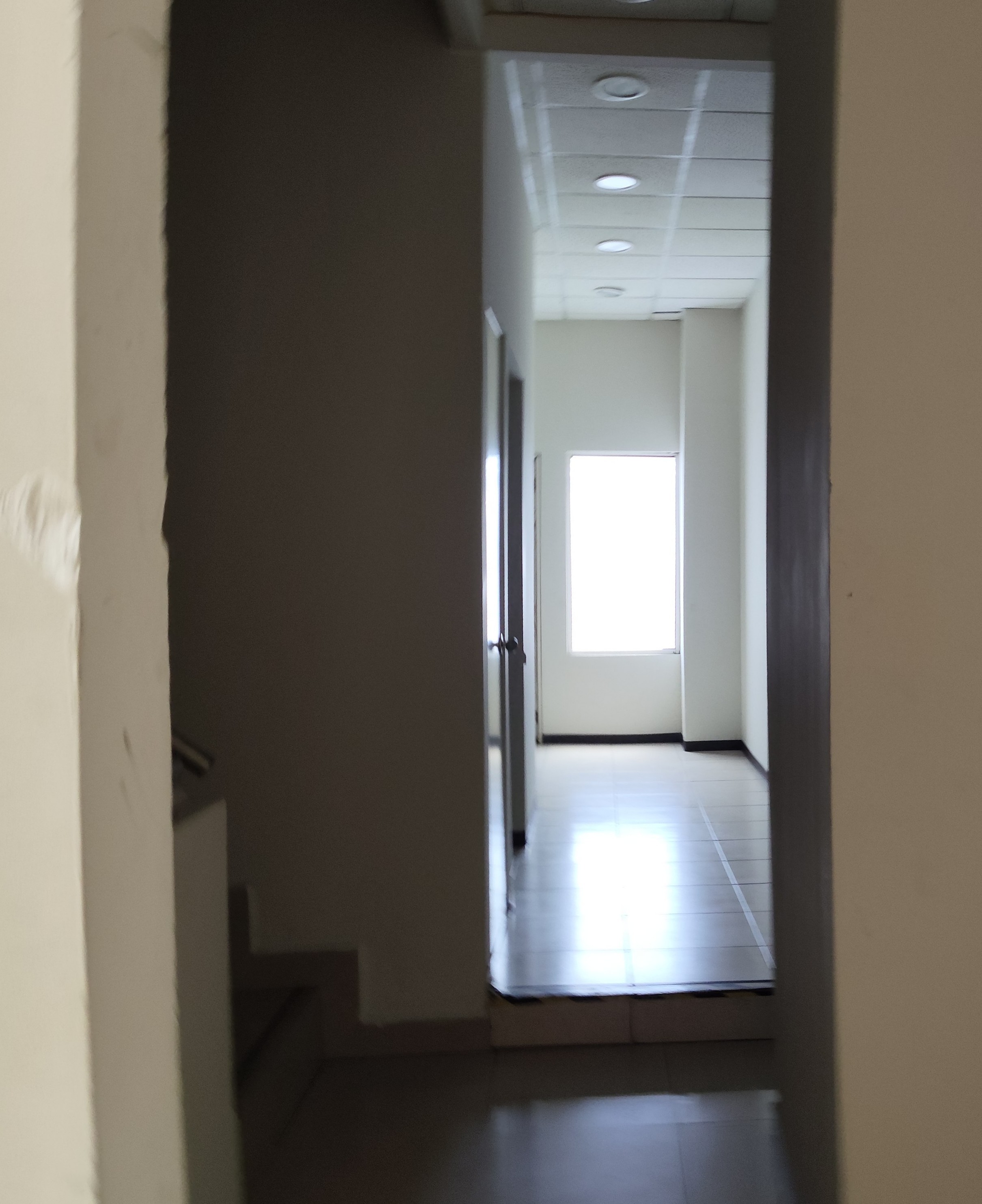 Oficina en Renta en Antiguo Nogalar