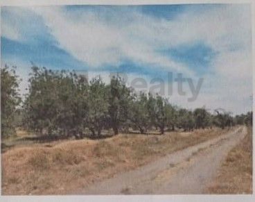 Terreno en Venta en La Joya de Santiago Mextla