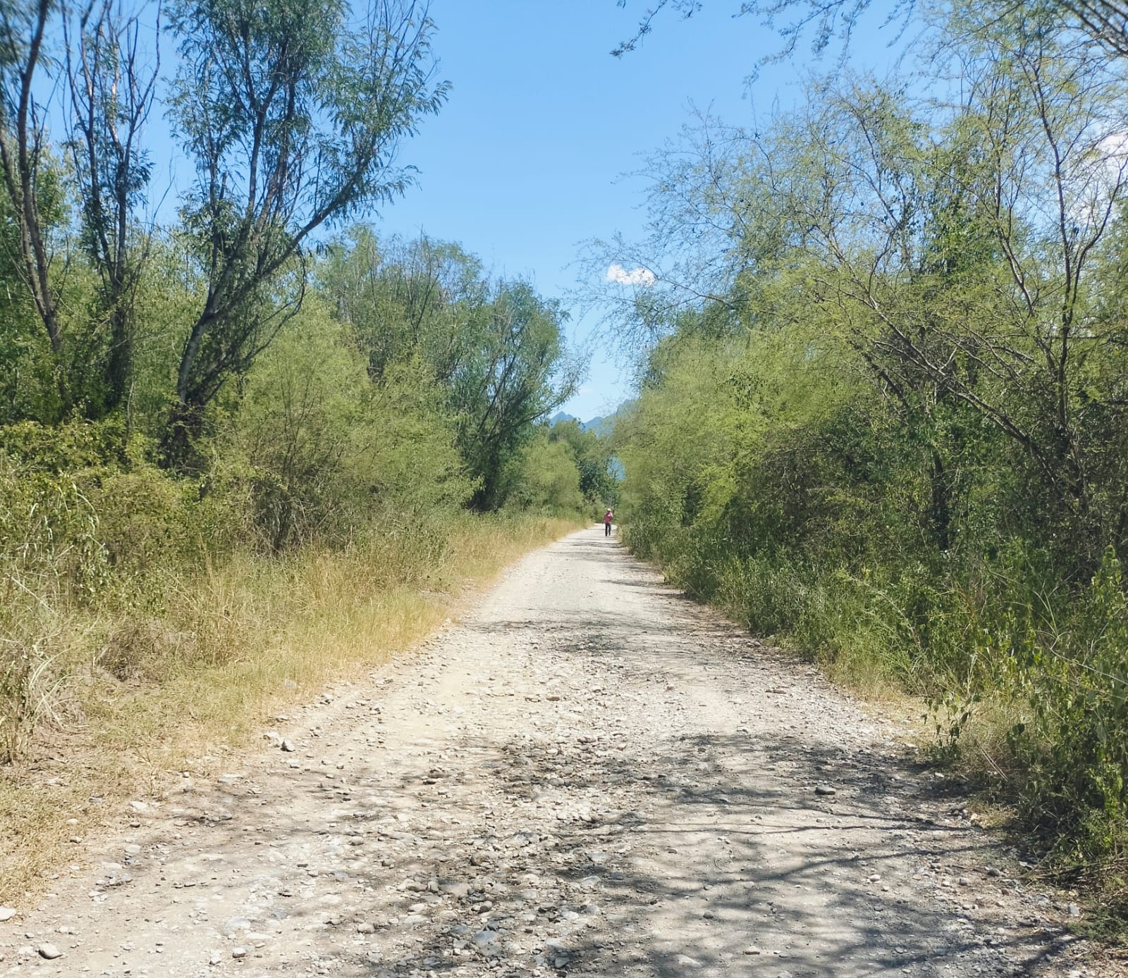 Terreno en Venta en LA TINAJA 