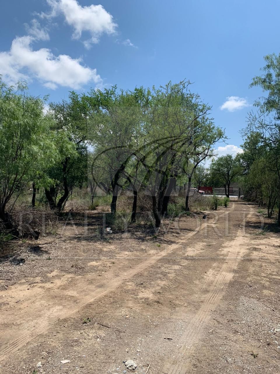 Terreno en Venta en Zacatecas