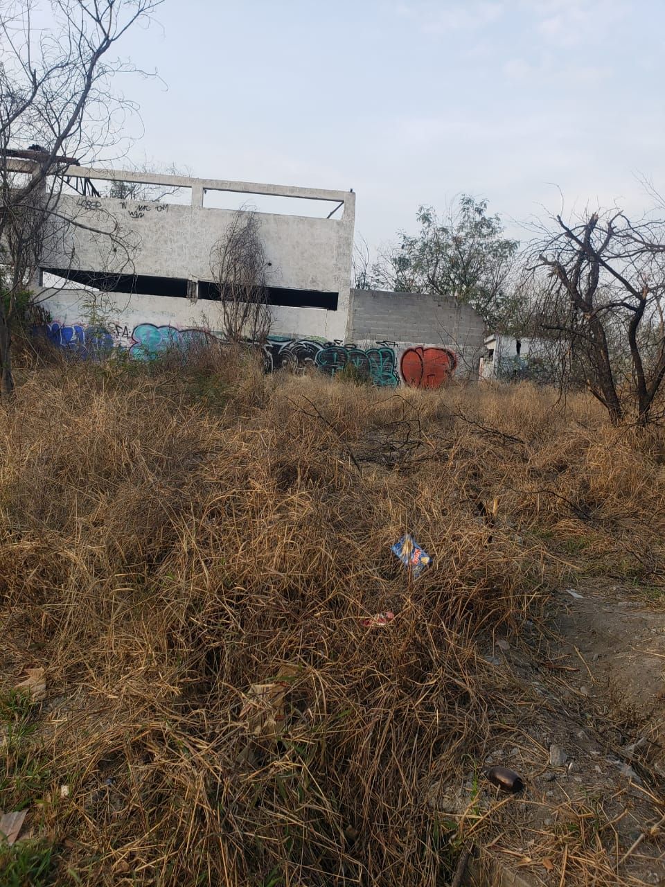 Terreno en Renta en Los Saldañas