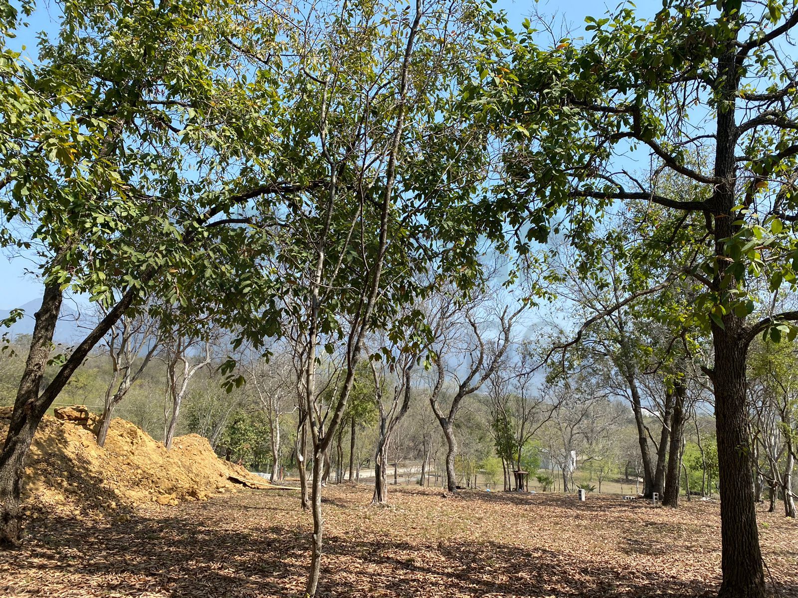 Terreno en Venta en Huajuquito o los Cavazos