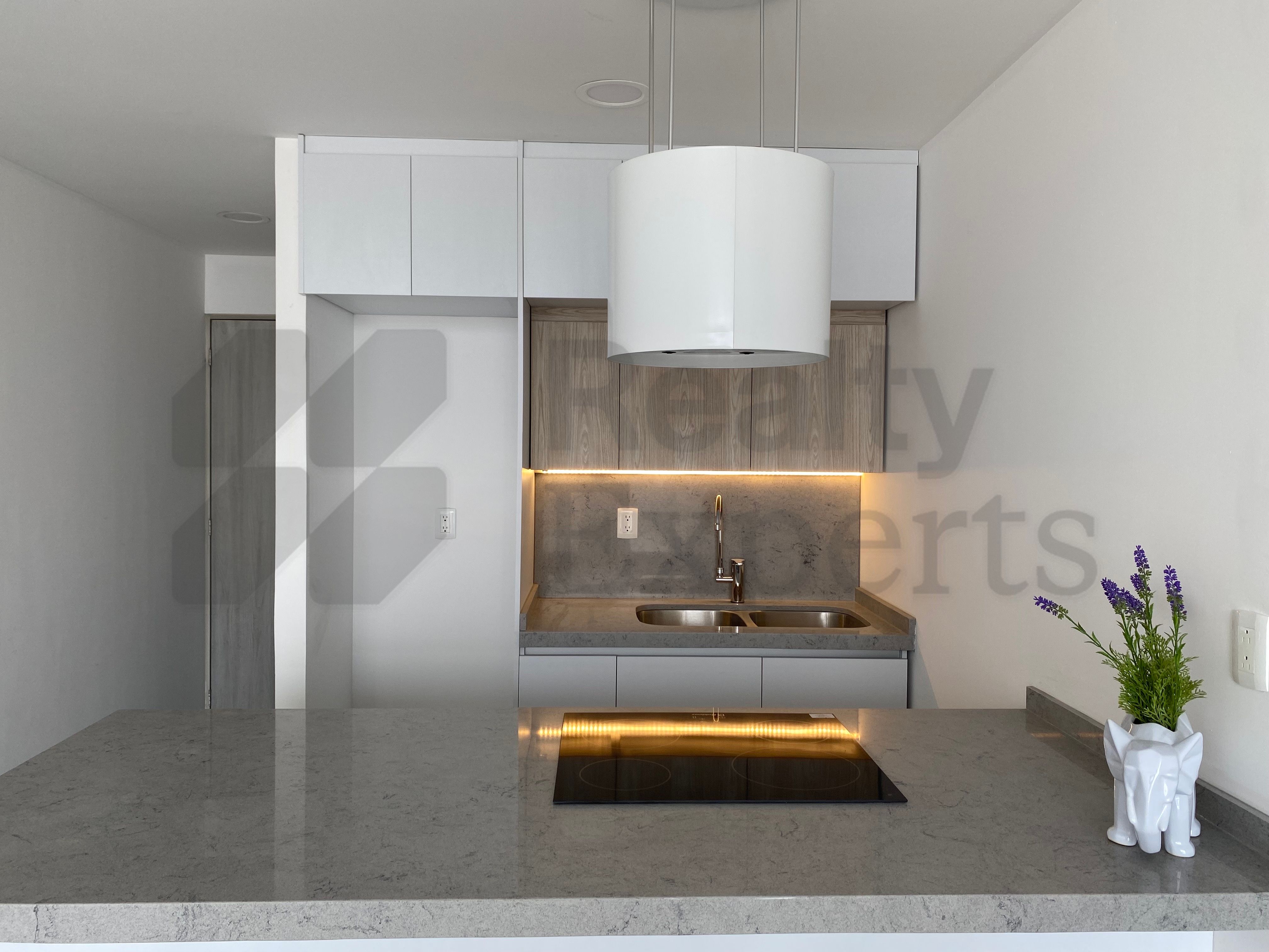 Departamento en Renta en Regina