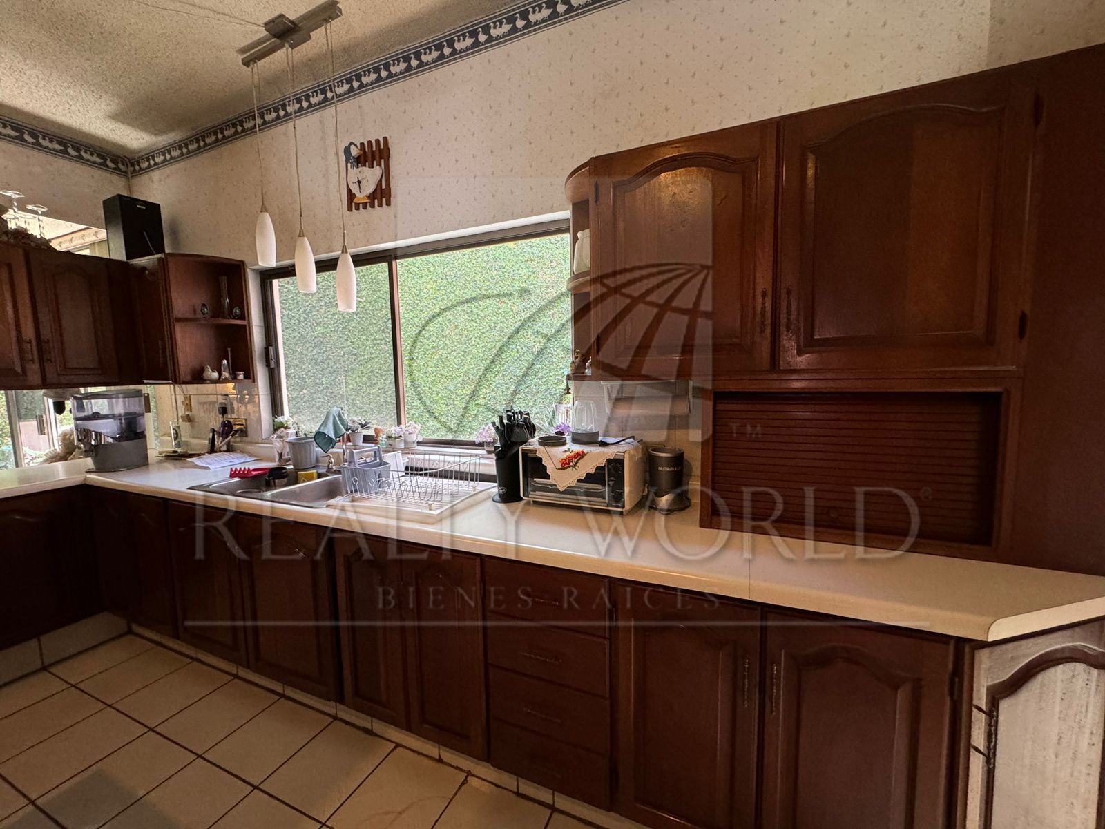 Casa en Renta en Lomas del Campestre