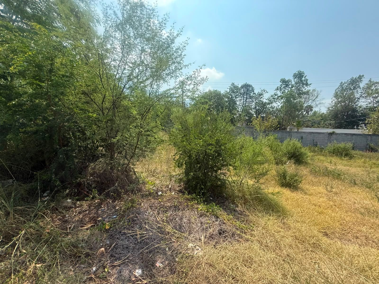 Terreno en Venta en Arboretto