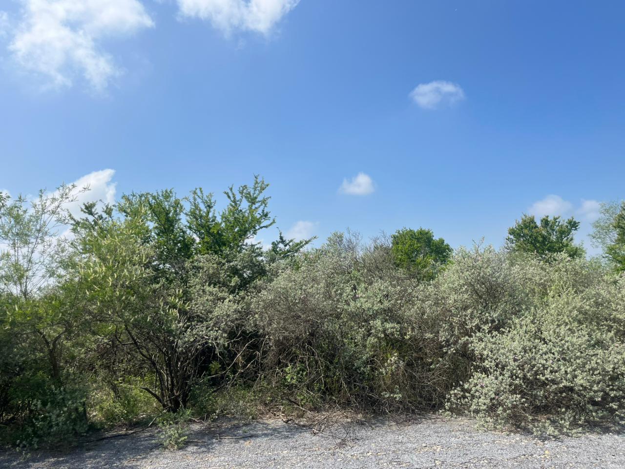 Terreno en Venta en El Fraile