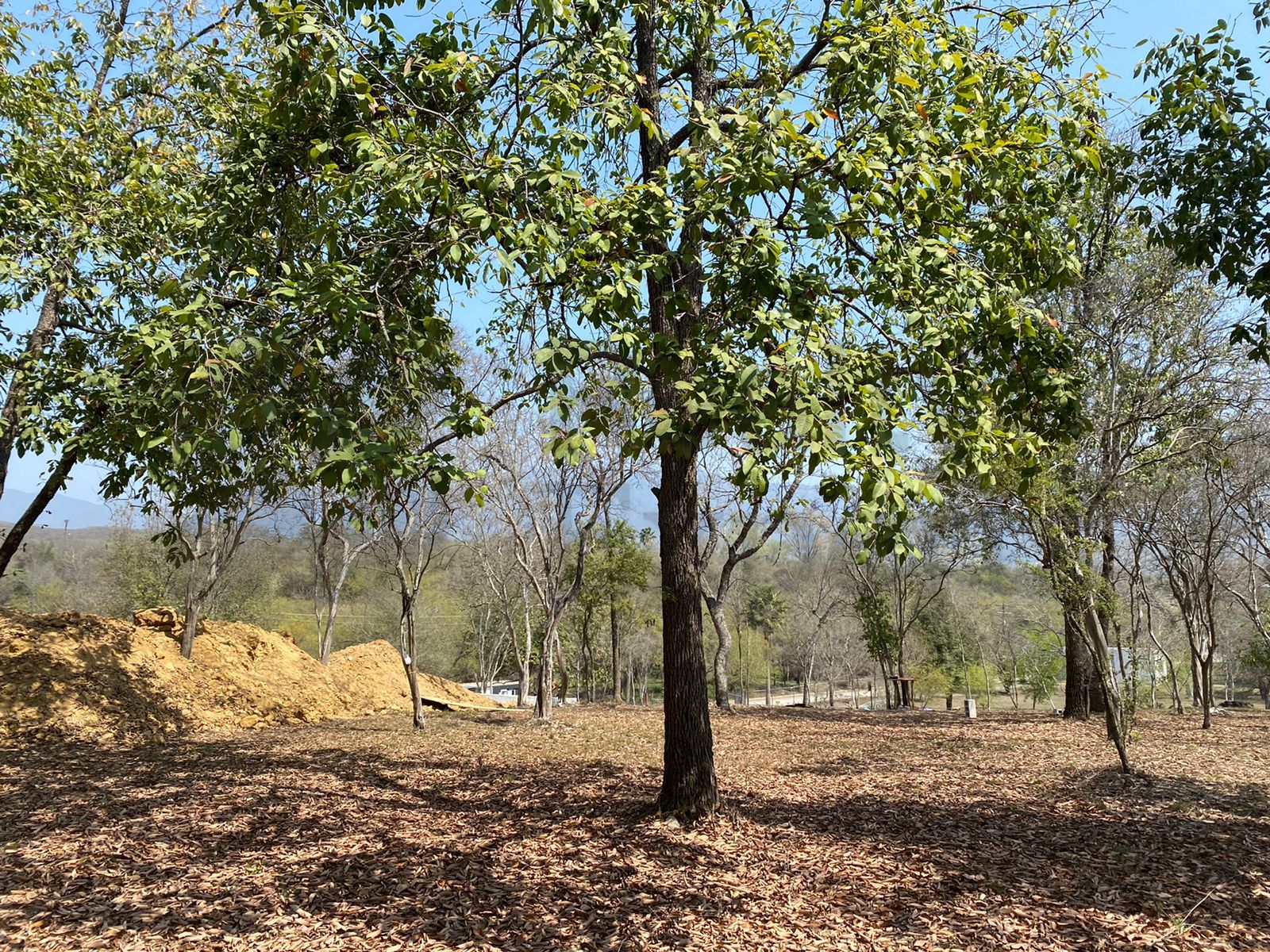 Terreno en Venta en Huajuquito o los Cavazos