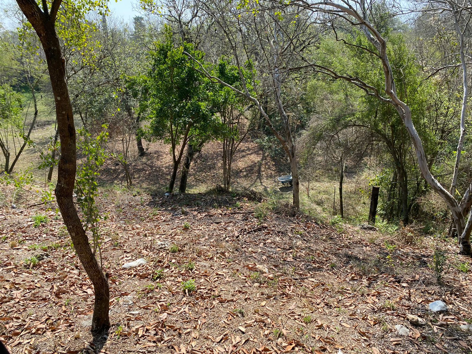 Terreno en Venta en Huajuquito o los Cavazos