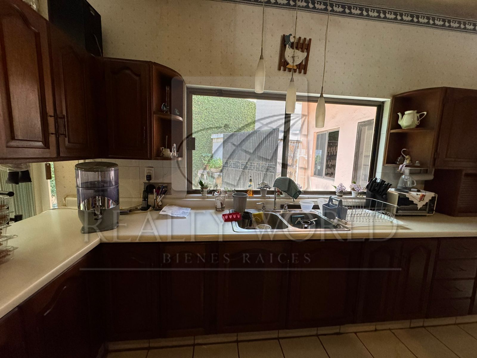 Casa en Renta en Lomas del Campestre