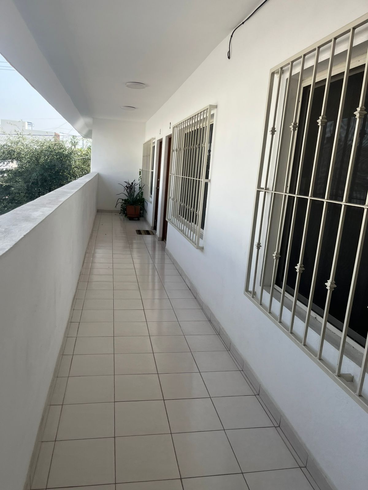 Departamento en Renta en casco urbano