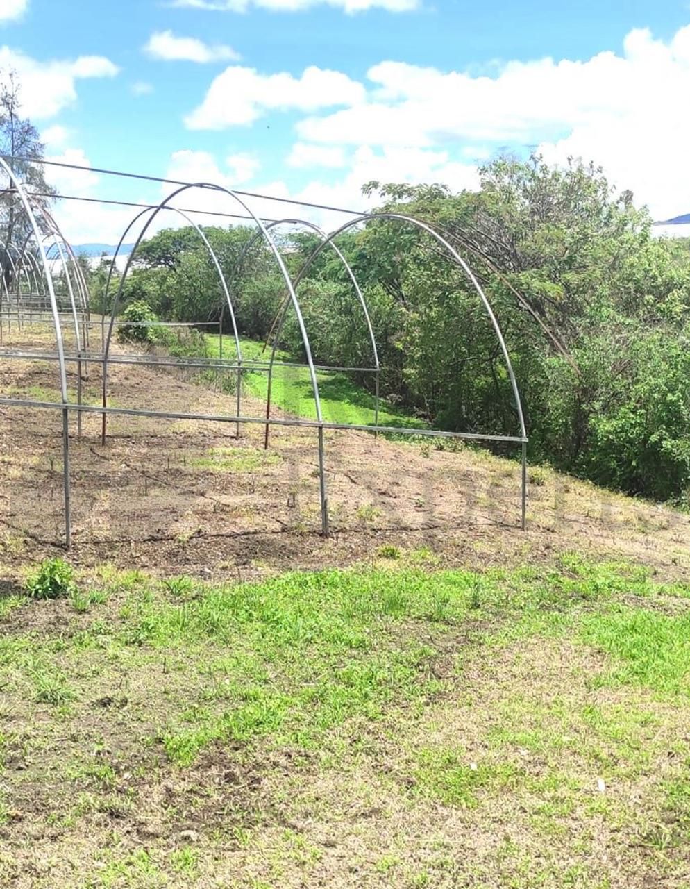 Terreno en Venta en San Antonio Guadalupe
