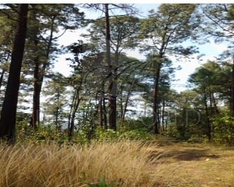 Terreno en Venta en Valle de Bravo