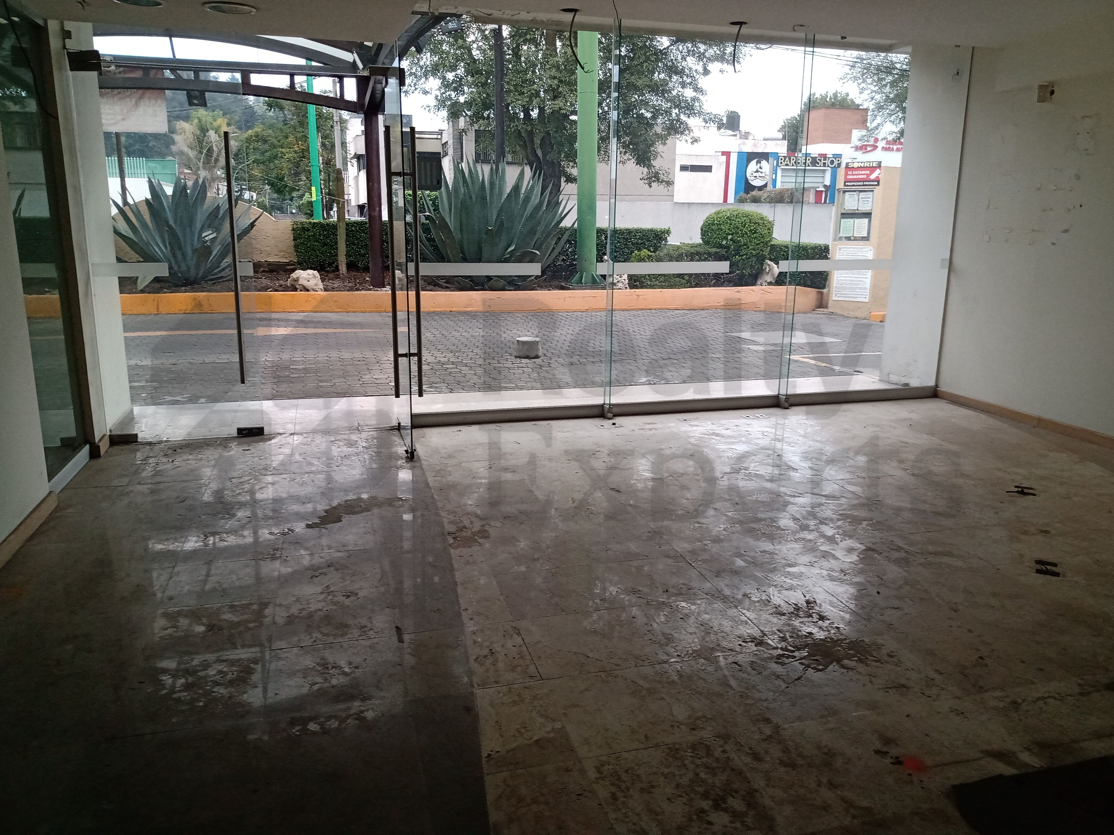 Local en Renta en Ciprés