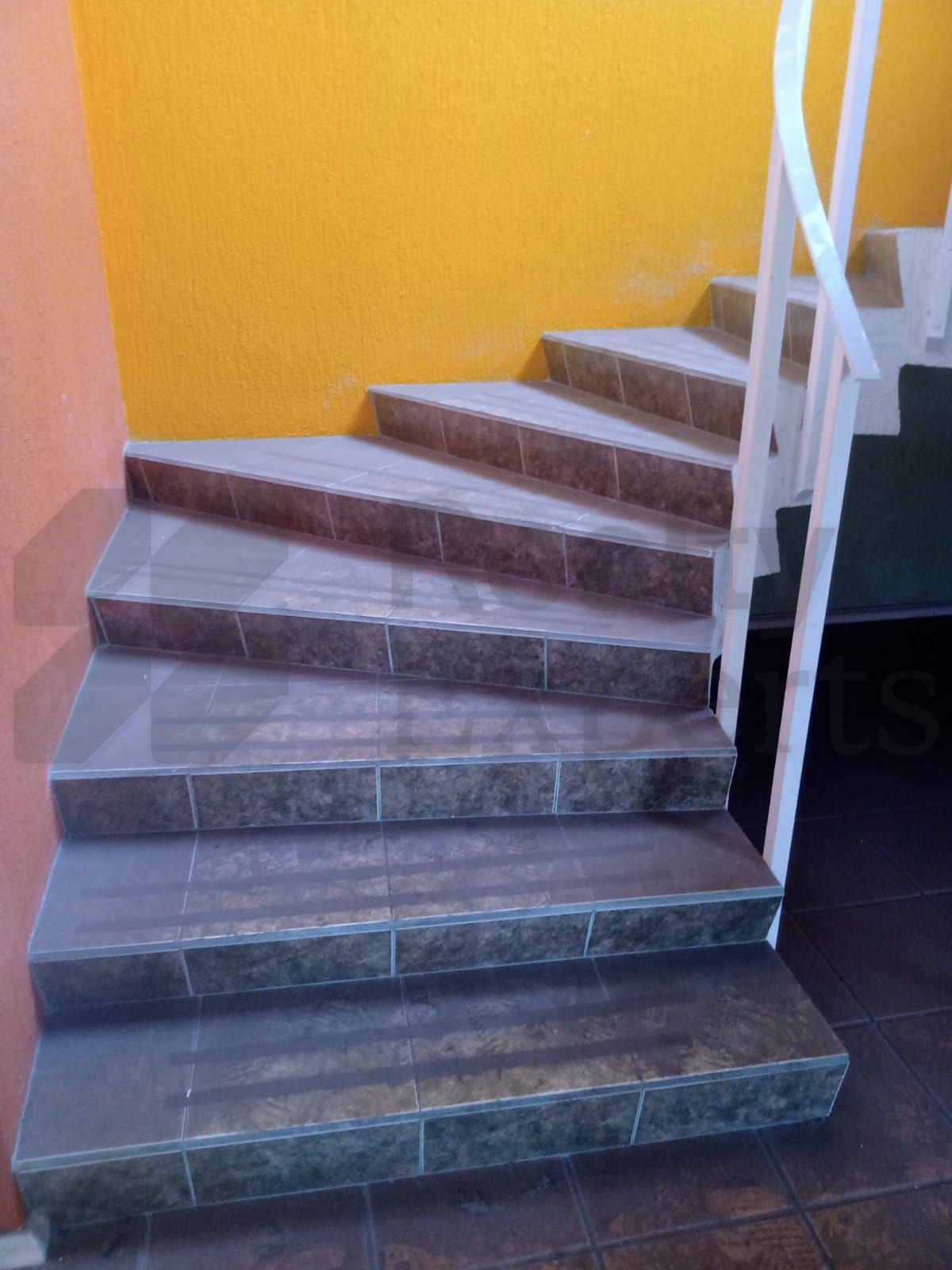 Casa en Renta en Ciprés