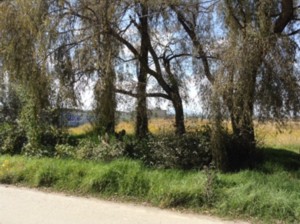 Terreno en Venta en San Pedro Totoltepec