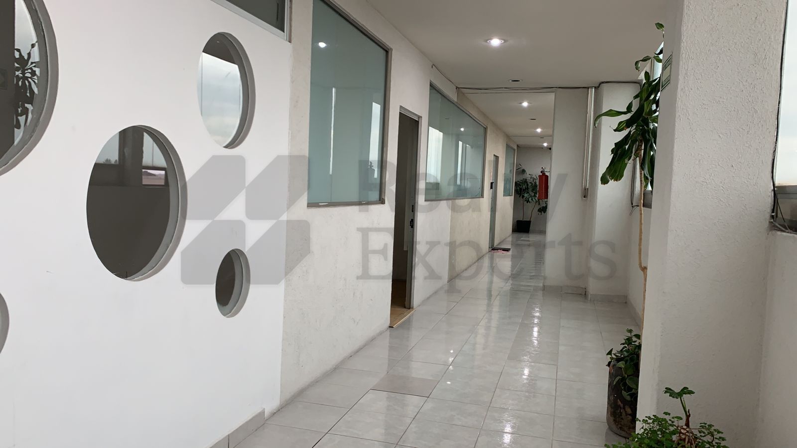 Oficina en Renta en Santiaguito